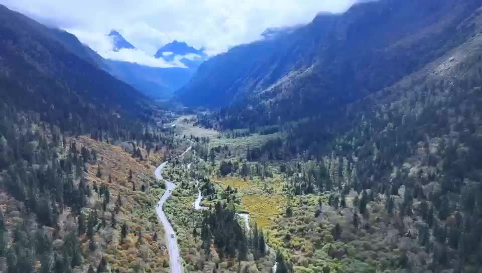 在3500米雪山急弯轻松拿捏 这支金旅客车车队凭什么让游客不晕